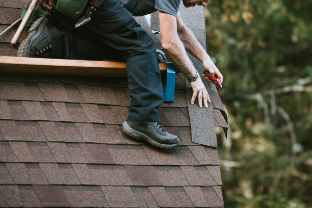 Best Roof Gutter Cleaning  in Hayden, AL